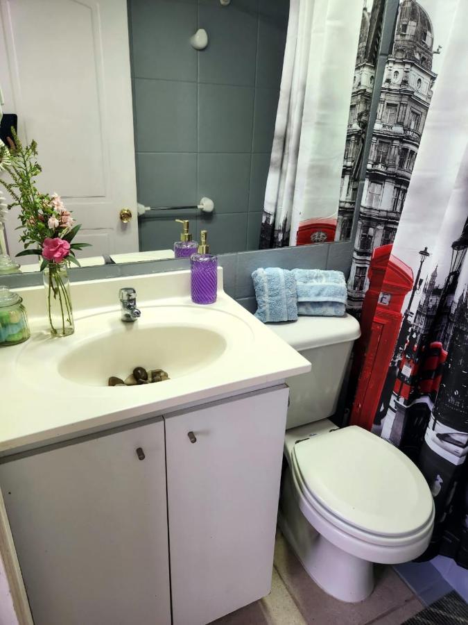 Cómodo Departamento En Bellas Artes Con Vista Privilegiada Apartamento Santiago